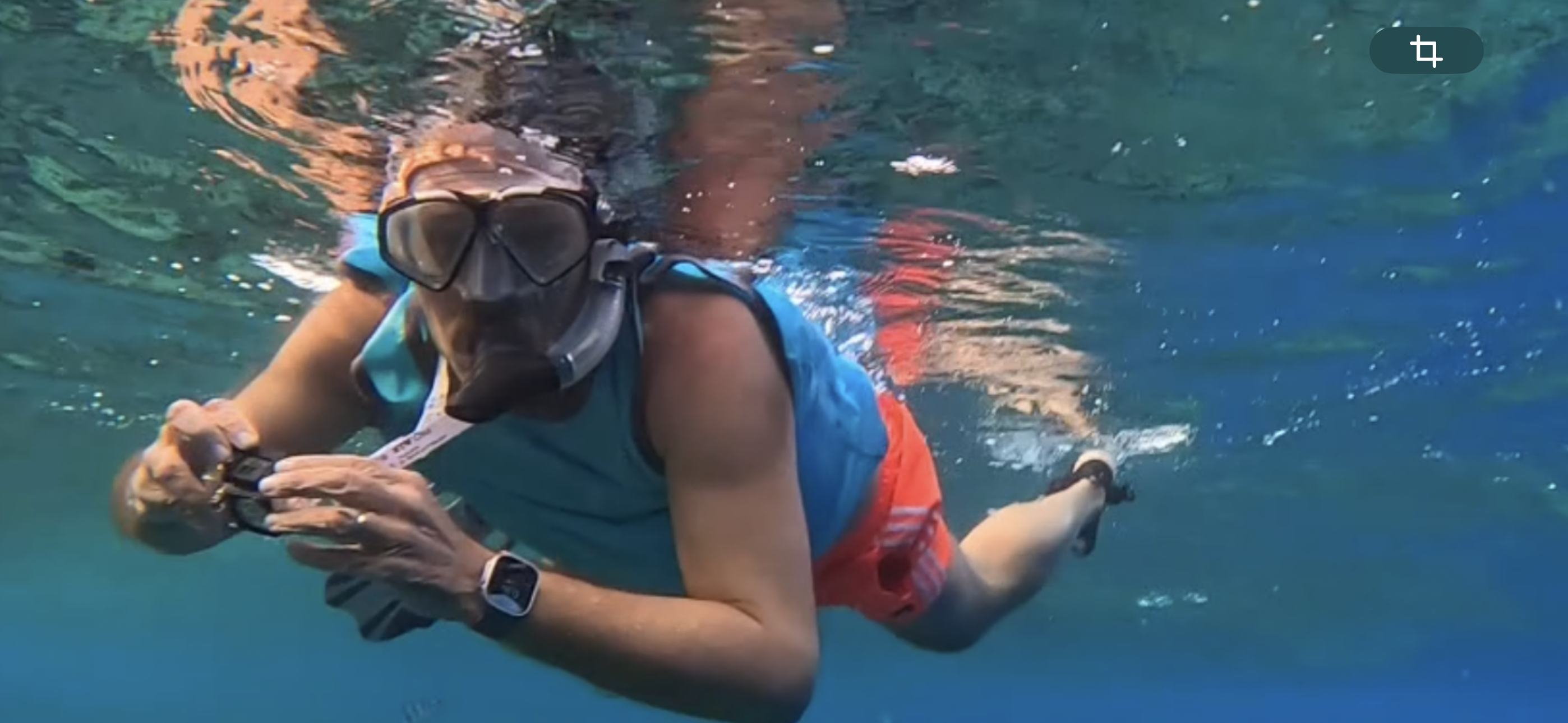 Red Sea Egypt Bruno Studer