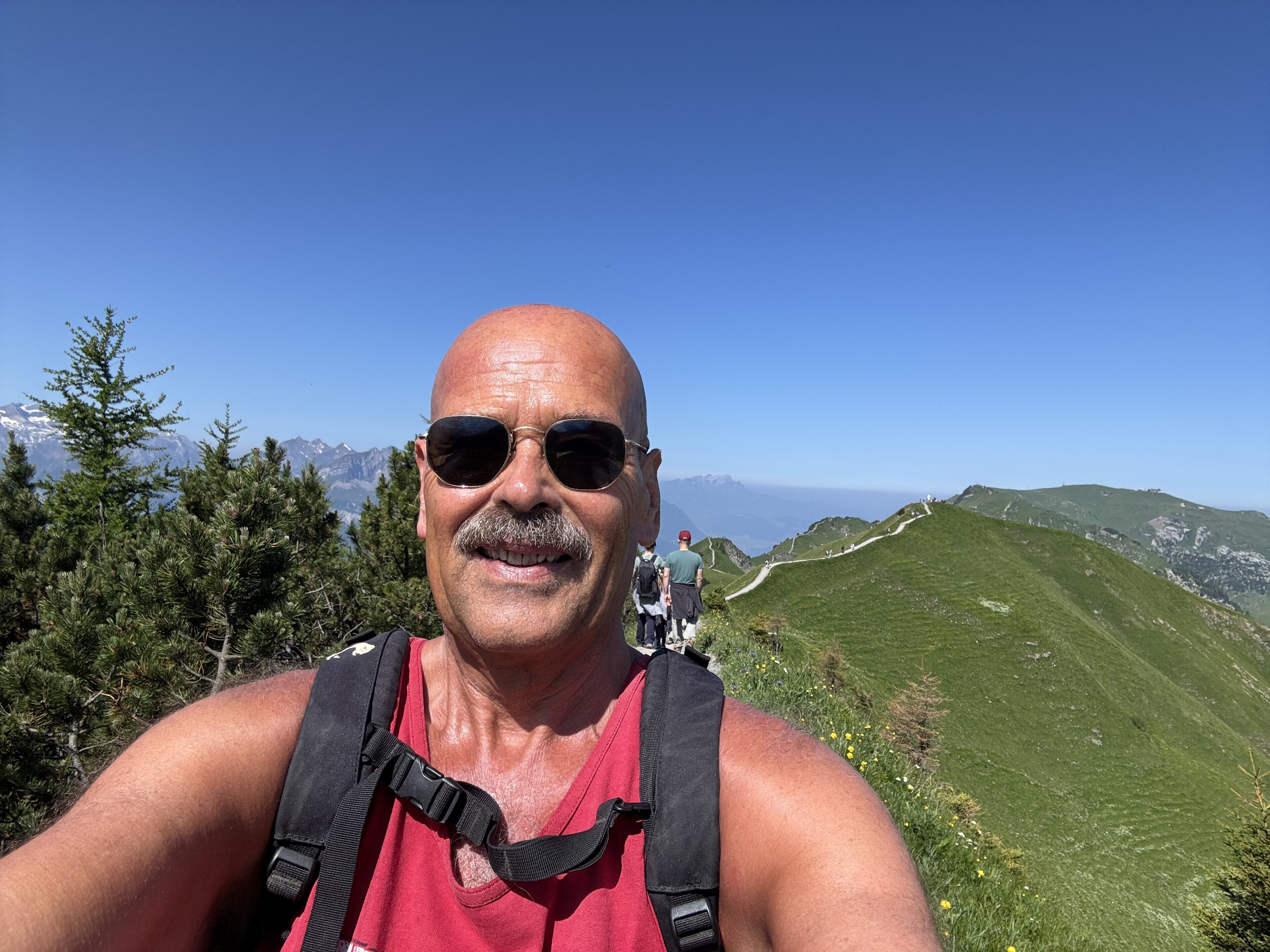 klingenstock bruno studer